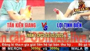 Trận 1 CPC5 23/12/2025 - Bướm Anh Tấn Khai Màn Phế Cặp Giò Bướm Xanh