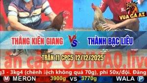 Trận 11 CPC5 12/12/2025 - Gà Que Anh Thắng Đá Cây Hiểm Cú Ói Chết Tươi