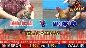 Trận 11 CPC5 4/12/2025 - Chuối Đen Anh Long Tóc Dài Đi Bộ Cũng Đâm