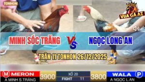 Trận 11 TonHon 26/12/2025 - Vô Ô Điều Anh Minh Lọt Chân Hiểm Giãy Chết