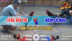 Trận 11 Xà Xía 23/12/2025 - Xanh Đâm Như Súng Bắn Hạ Đỏ Trong Nốt Nhạc