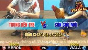 Trận 13 CPC4 15/12/2025 - Bông Đá Chặp Đầu Vô Trong Hụt Hơi Té Sấp Mặt