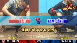 Trận 13 CPC4 17/12/2025 - Điều Anh Hoàng Đá Xanh Tắt Thở Sau Tay Nước
