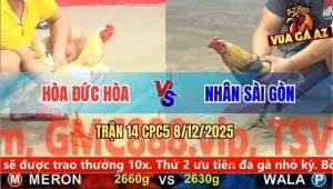 Trận 14 CPC5 8/12/2025 - Bướm Anh Hòa Đá 1 Tăng Chuối Chín Rụng Cây