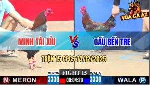 Trận 15 CPC3 14/12/2025 - Anh Gấu Cắt Đứt Chuỗi Bất Bại Của Anh Minh