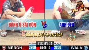Trận 15 CPC3 7/12/2025 - Bướm Đá 1 Tăng Tiễn Gà Que Anh Đen Lên Đường