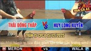 Trận 15 CPC4 15/12/2025 - Điều Xanh Đâm Điều Đỏ bại Liệt Hết Đứng