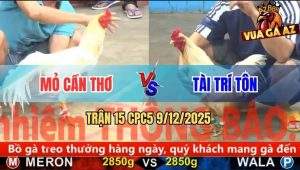 Trận 15 CPC5 9/12/2025 - Bướm Đỏ Tang Nặng Có Chân Phản Mà Bất Lực
