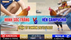 Trận 15 TonHon 26/12/2025 - Camelo Anh Minh Phản 5 Lai Đưa Biện Ra Đảo