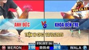Trận 16 CPC3 14/12/2025 - Điều Lá Hư Tý Phản Ăn 1 Đưa Điện Đi Xa