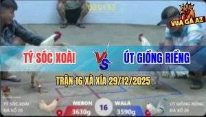 Trận 16 Xà Xía 29/12/2025 - Úa Bú Cây Lưng Bướm Ra Con Lươn Nằm Đống