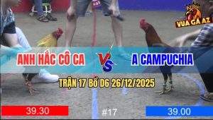 Trận 17 Bồ D6 26/12/2025 - Hắc Coca Đá 5000$ Gãy Cánh Trước Đối Thủ Lạ