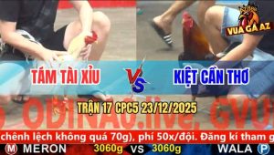 Trận 17 CPC5 23/12/2025 - Bướm Anh Tám Tài Xỉu Đâm Như Phát Xít