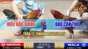 Trận 17 TonHon 26/12/2025 - Gà Vàng Anh Đạo Đâm Điều Anh Hiếu Lủng Tim