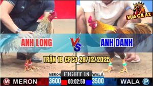 Trận 18 CPC3 28/12/2025 - Khét Đâm Gà Cú Anh Long 4G Gục Ngã Tại Chỗ