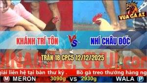 Trận 18 CPC5 12/12/2025 - Gà Điều Anh Khanh May Mắn Có Chân Xạo Lờ