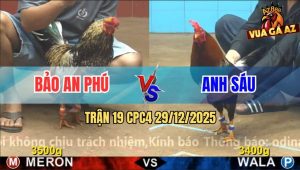 Trận 19 CPC4 29/12/2025 - Điều Dí Ăn 4 Ăn Chân Nghiệt Nằm Liệt Tại Chỗ