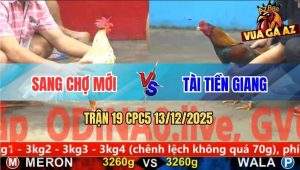 Trận 19 CPC5 13/12/2025 - Bướm Mồng Lá Má Mồng Dâu Đâm Đâu Đau Đó