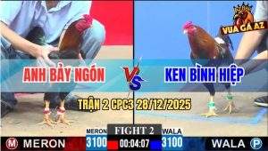 Trận 2 CPC3 28/12/2025 - Điều Anh Bảy Ngón Quá Trâu Đá Xanh La Miệng
