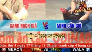 Trận 2 CPC5 12/12/2025 - Điều Cọp Anh Minh Đâm Bướm Không Sót Chân Nào