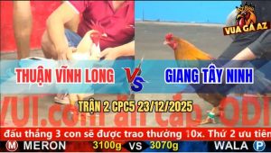 Trận 2 CPC5 23/12/2025 - Bướm Anh Thuận Bao Bồ Đá Gà Khét Kêu Miệng