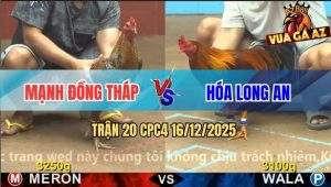 Trận 20 CPC4 16/12/2025 - Mẻ Cú Cọp Campuchia Đá Toàn Đâm Mu Lưng