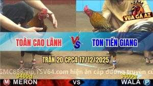 Trận 20 CPC4 17/12/2025 - Xám Hiệu Anh Ton Đá Điều Anh Toàn Phun Lửa