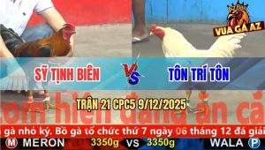 Trận 21 CPC5 9/12/2025 - Bướm Anh Tôn May Độ Để Cây Lưng Điều Đi Bụi