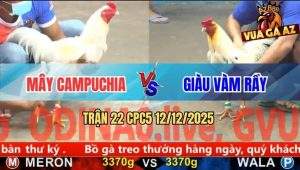 Trận 22 CPC5 12/12/2025 - Bướm Anh Giàu Đâm Úa Cánh CPC Bể Bóng Đèn