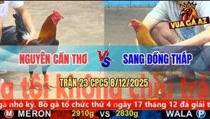 Trận 23 CPC5 8/12/2025 - Điều Cọp Anh Nguyên 1 Đá, Lấy Mạng Khét Sữa