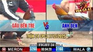 Trận 24 CPC3 7/12/2025 - Xanh Mẻ Hiệu Tính Ga King Đâm Cựa Quá Hay