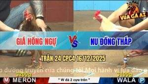 Trận 24 CPC4 16/12/2025 - Anh Nu Chấp Ngông Nhân Ngay Kết Đắng