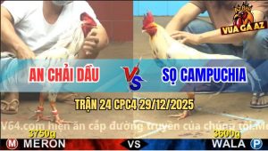 Trận 24 CPC4 29/12/2025 - Bướm Anh An Tải Cựa Tải Cựa Quá Tốt