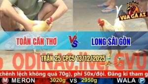 Trận 25 CPC5 13/12/2025 - Úa Nạp Đúng Chân - Bướm Thốn Hạt Kê Bay Bồ