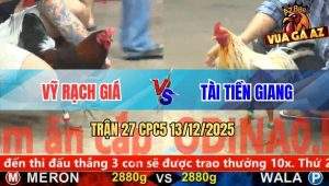 Trận 27 CPC5 13/12/2025 - Anh Vỹ Gom Phiếu Buông Tay Bướm Đá Tắt Điện