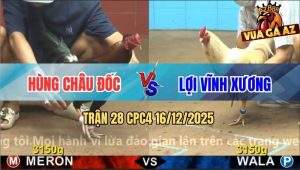 Trận 28 CPC4 16/12/2025 - Điều Anh Hùng Đâm Bướm Nhập Thổ Nhanh Gọn