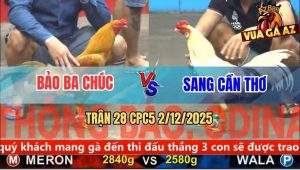 Trận 28 CPC5 2/12/2025 - Bướm Nhỏ Mà Có Võ, Kẹp Vô Đâm Khét Lủng Tim