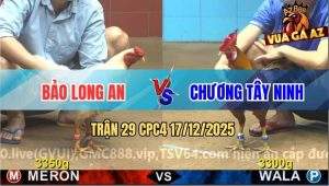 Trận 29 CPC4 17/12/2025 - Úa Cọp Anh Bảo Long An Đâm Cựa Như Phát Xít