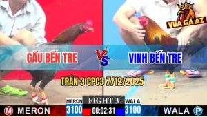 Trận 3 CPC3 7/12/2025 - Điều Cọp Anh Vinh Đá Gà Anh Gấu Còn Đúng 1 Giò