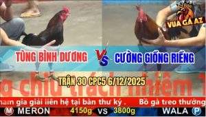 Trận 30 CPC5 6/12/2025 - Điều Đỏ Sốc Thuốc Té Giã Vẫn Gồng Tang Hòa