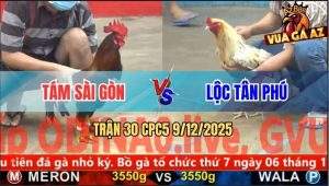Trận 30 CPC5 9/12/2025 - Bướm Anh Lộc Đứng Gục Đầu Lấy Tiền Gà Điều