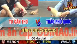 Trận 32 CPC5 27/12/2025 - Bướm Siết Cây Cần Gà Điều Anh Tư Rụng Nụ