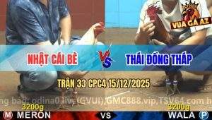 Trận 33 CPC4 15/12/2025 - Điều Mồng Lá Anh Thái Đâm Bướm Bại Liệt