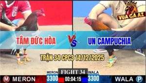 Trận 34 CPC3 14/12/2025 - Điều Xanh Anh Un Campuchia Có Chân Xạo Lờ