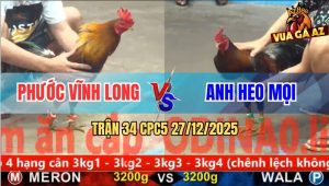 Trận 34 CPC5 27/12/2025 - Gà Điều Anh Phước Đá Nước Khuya Quá Lực