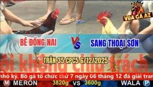Trận 35 CPC5 6/12/2025 - Bướm Cáp Ngông Điều Đá Cho Đi Bán Bong Bóng