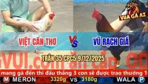 Trận 35 CPC5 9/12/2025 - Gà Bướm Đâm Điều Nhừ Tử Chủ Gà Xin Thua