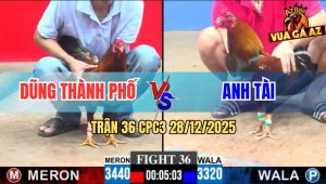 Trận 36 CPC3 28/12/2025 - Chú Tuấn Điện Thả Gà Giết Đối Thủ Trong 1 Tay Nước