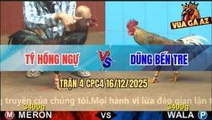 Trận 4 CPC4 16/12/2025 - Cú Kêu Điều Đáp, Cú Té Nằm Xòe Đuôi