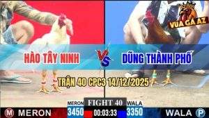 Trận 40 CPC3 14/12/2025 - Mẻ Điều Cọp Anh Dũng Đâm Cựa Như Chỉa